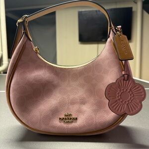 COACH✨Bag Signature F15250 ハンドバッグ Coach | Bags | Authentic Coach F525 Signature Satin Carly | Poshmark